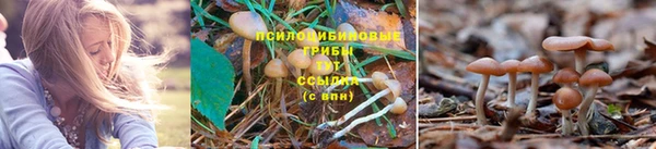 каннабис Мегион