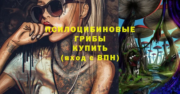 амфетамин Медвежьегорск